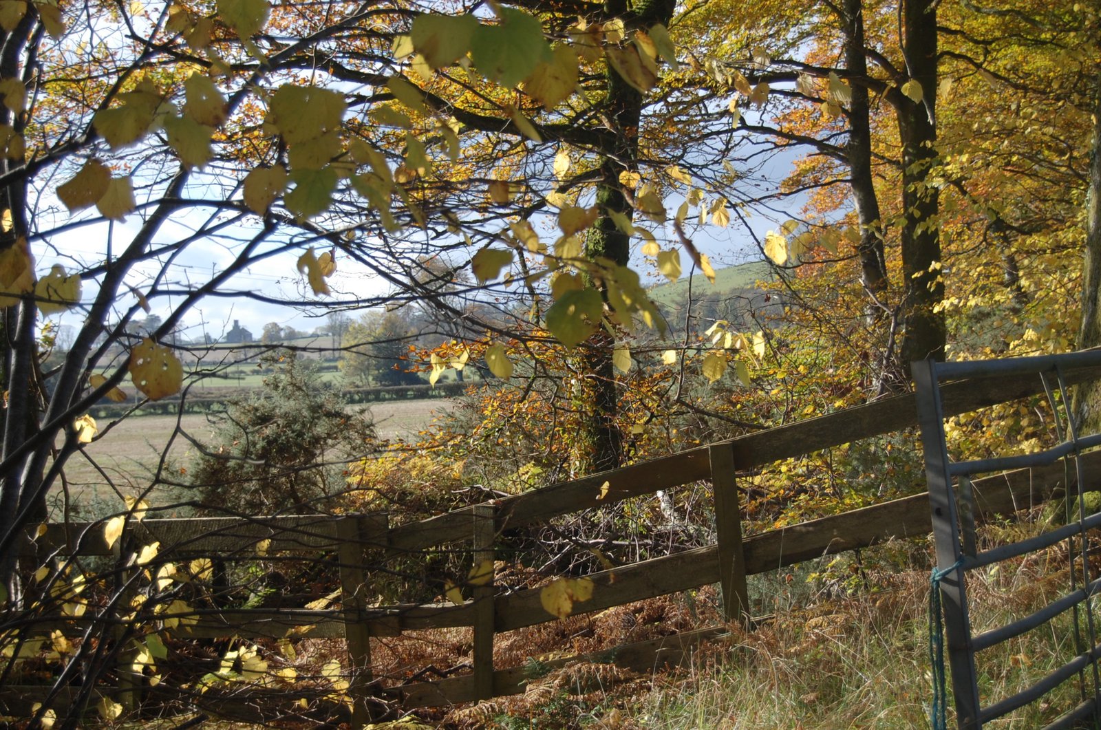 Autumn on the Isle of Bute